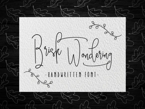 Brisk Wondering: The Handwritten Font for Modern Branding