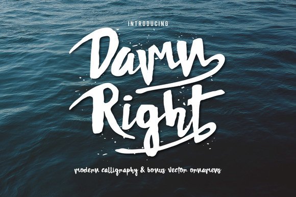 Damn Right Font Review: A Playful Script for Bold Brands