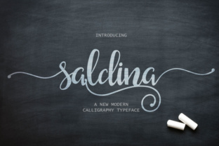 Elevate Your Brand with Saldina Script Font