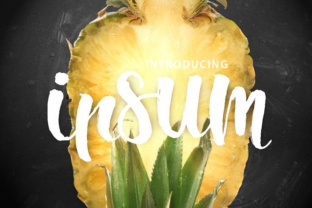 Ipsum Script: A Modern Typeface for Editorial Design