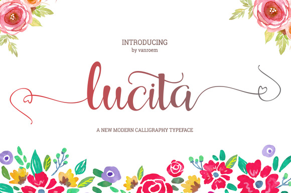 Lucita Font Review: Elegant Script for Modern Branding