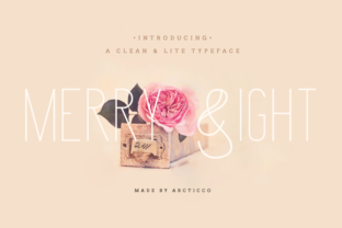 Merry Light: A Clean Sans Serif Font for Elegant Branding