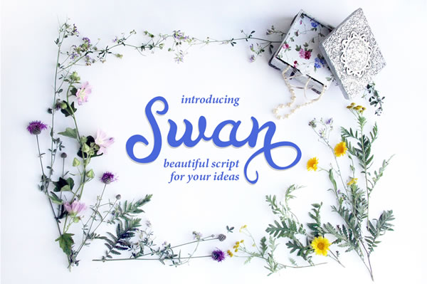 Swan: The Script Handwritten Font for Elegant Branding