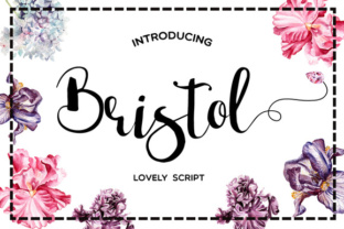 Transform Your Brand with Bristol Script Font
